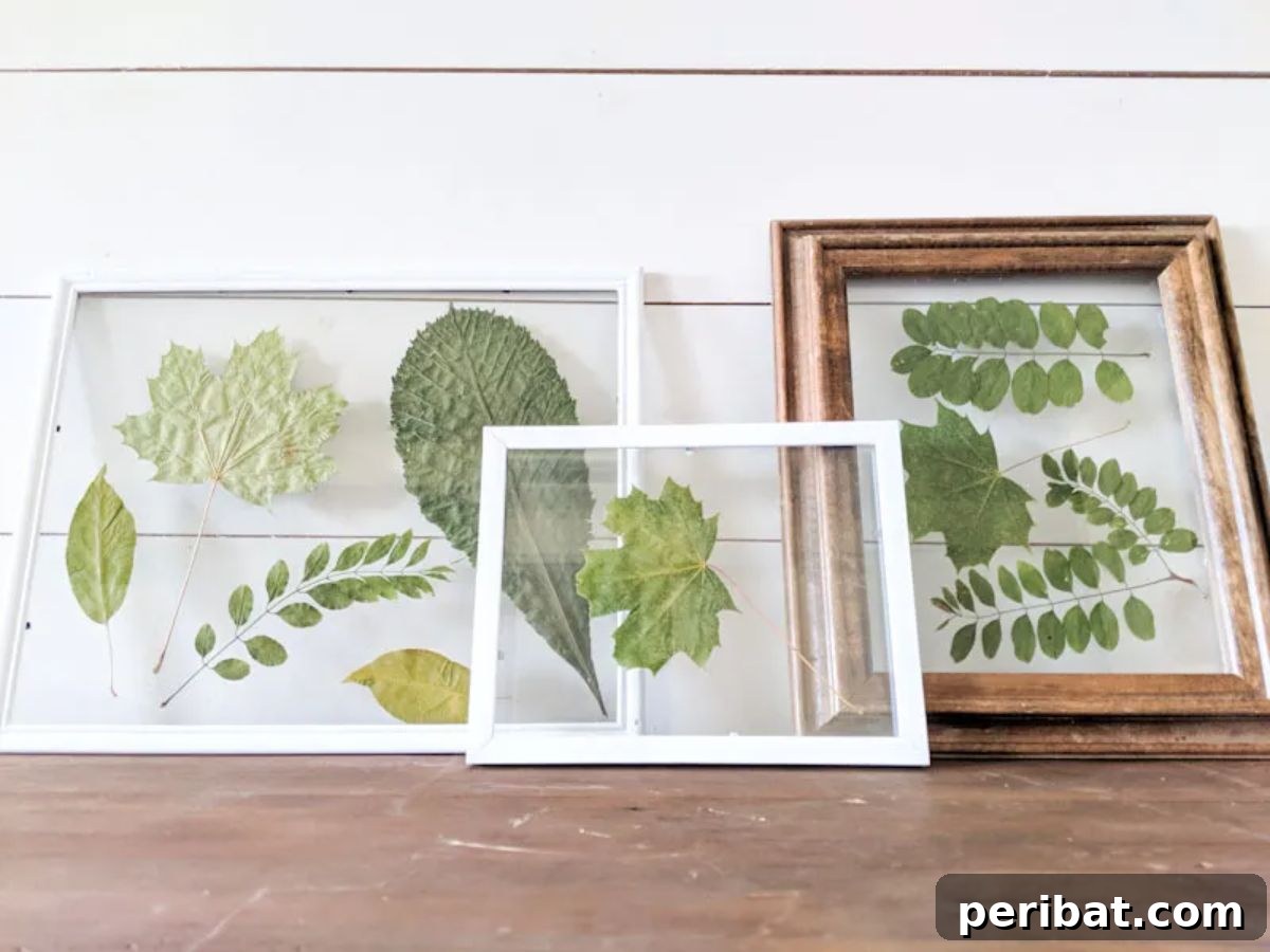 Elegant Dollar Store Fall Decor DIY with Natural Elements