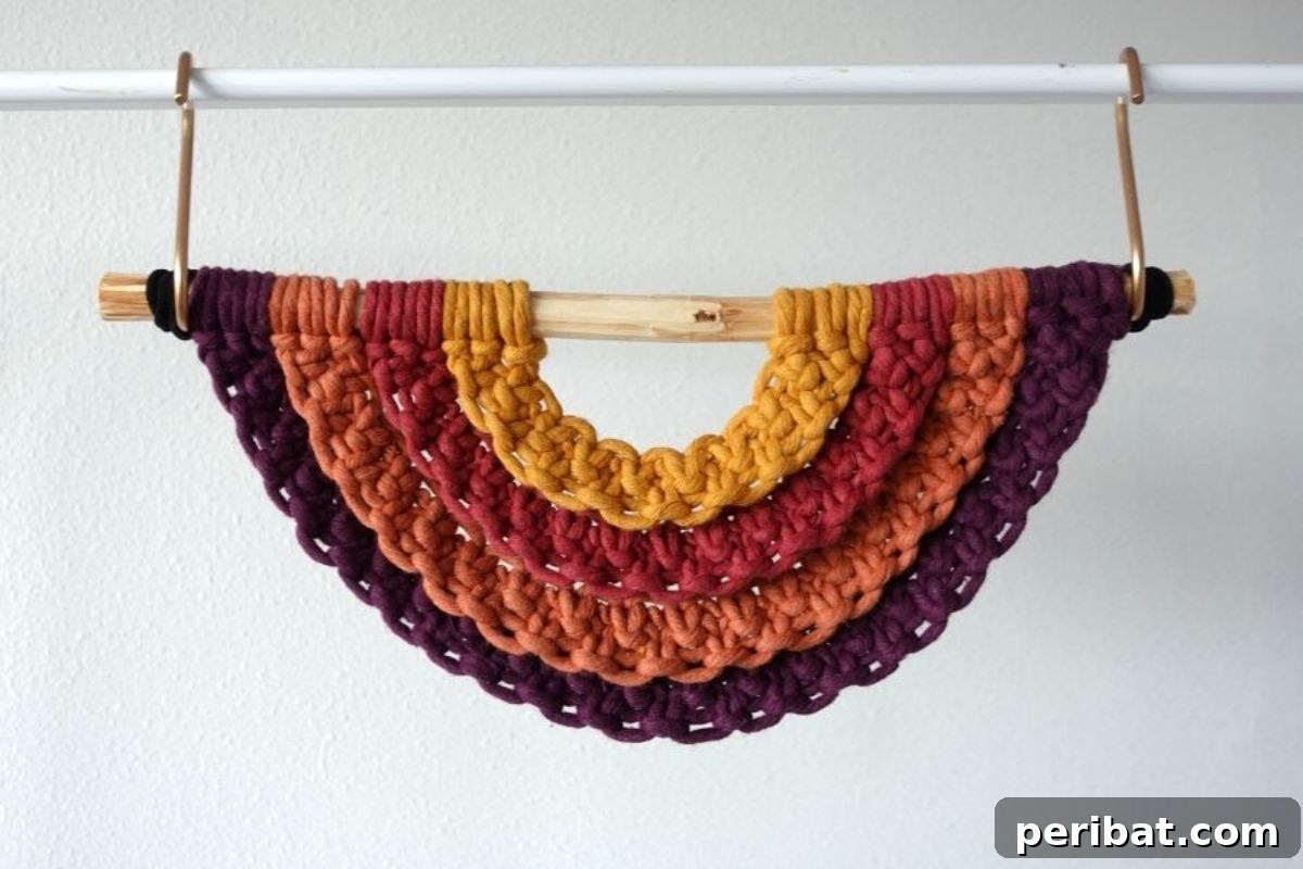 Beginner-Friendly Macrame Rainbow Wall Hanging for Vibrant Pop