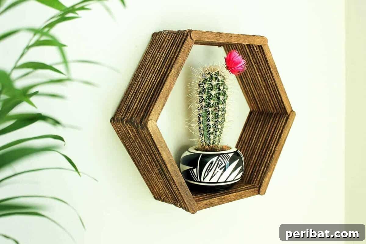 Innovative Popsicle Stick Hexagon Shelf for Geometric Flair