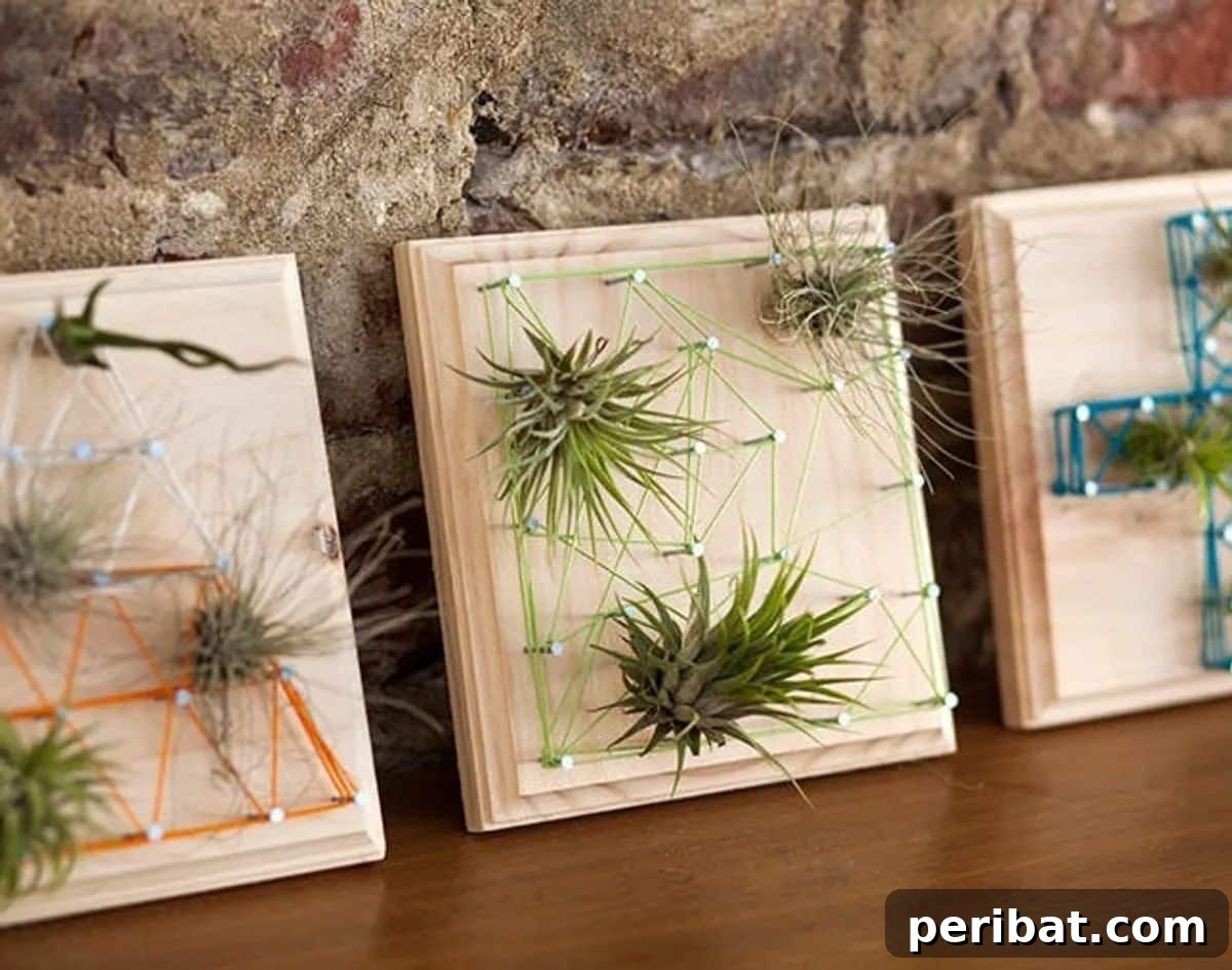 Eco-Chic Air Plants and String Art Living Wall Art