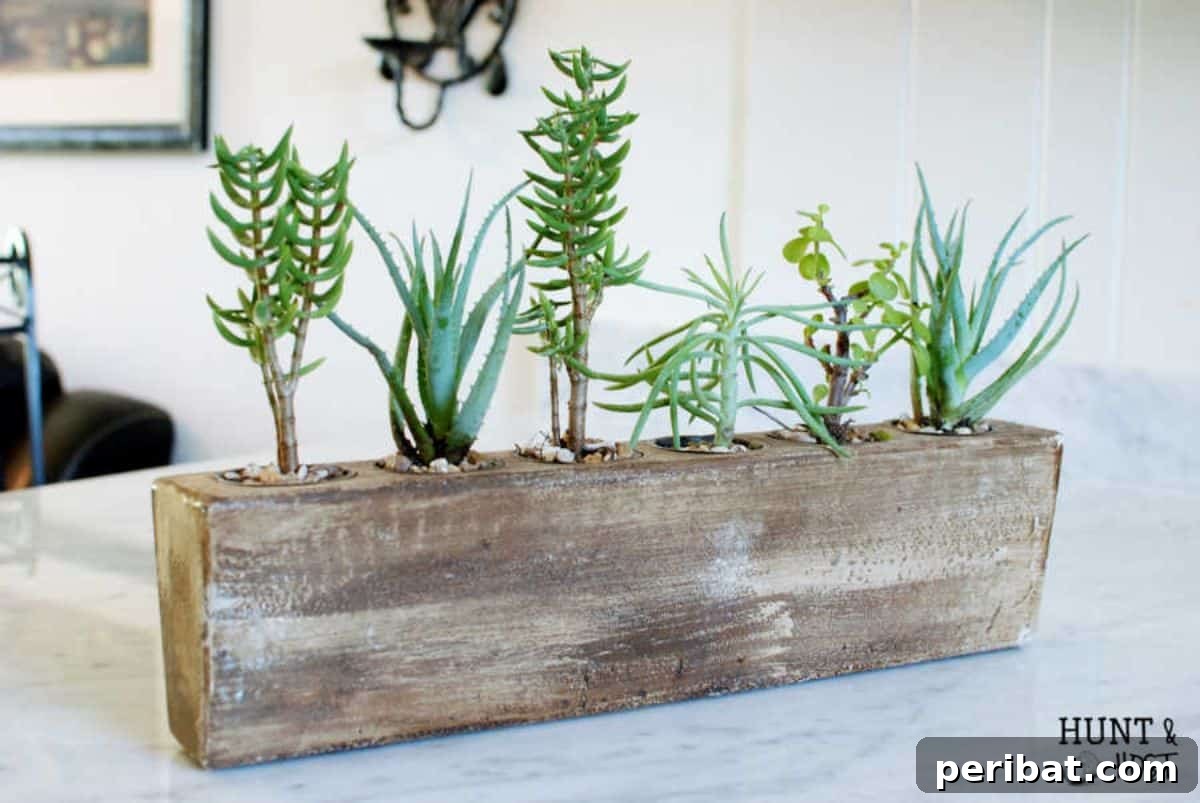 Charming Rustic Kitchens: DIY Decor and Craft Projects 126 Succulent Sugar Mold Arrangement