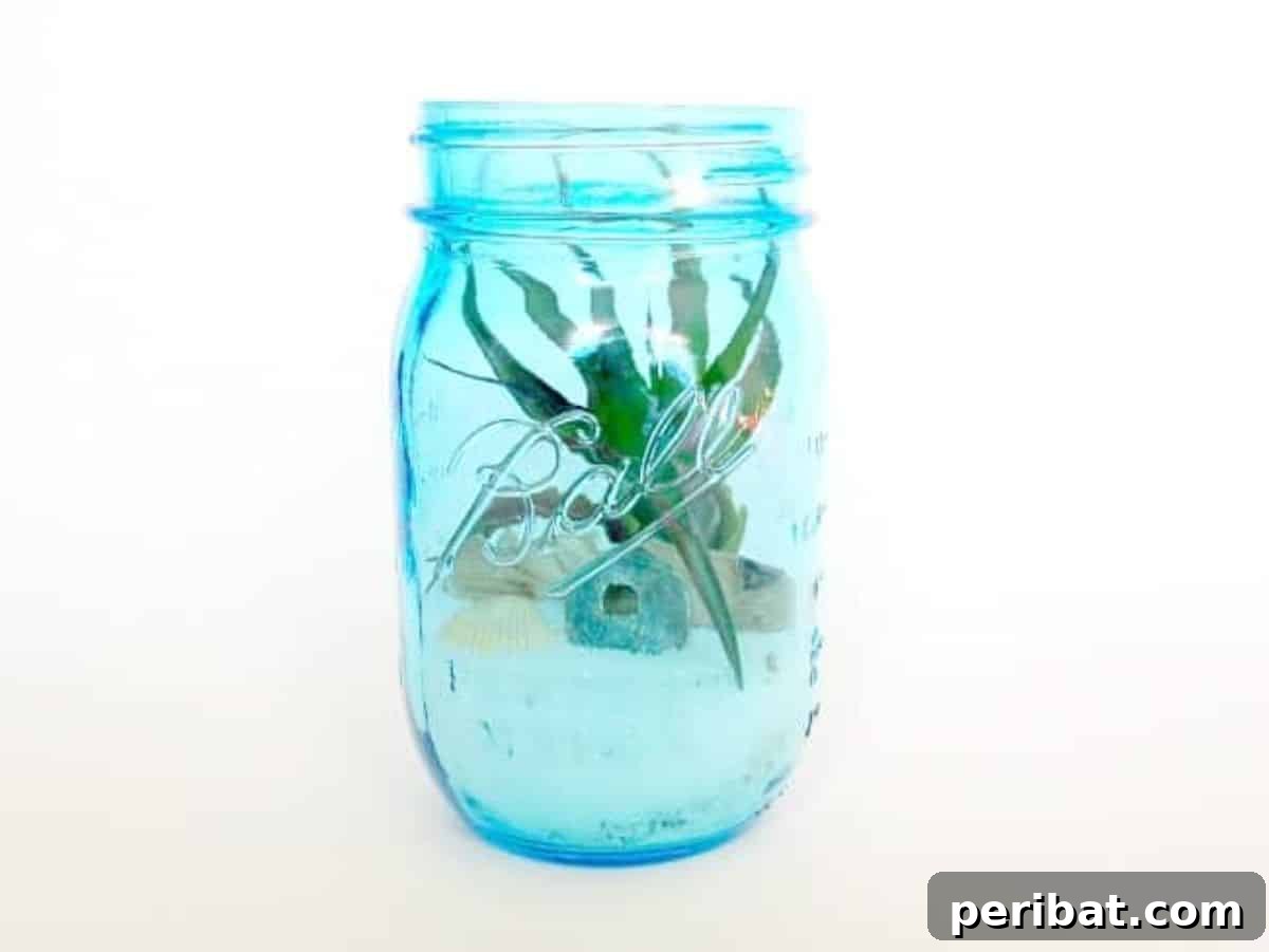 Charming Rustic Kitchens: DIY Decor and Craft Projects 47 Beach Inspired Terrarium DIY
