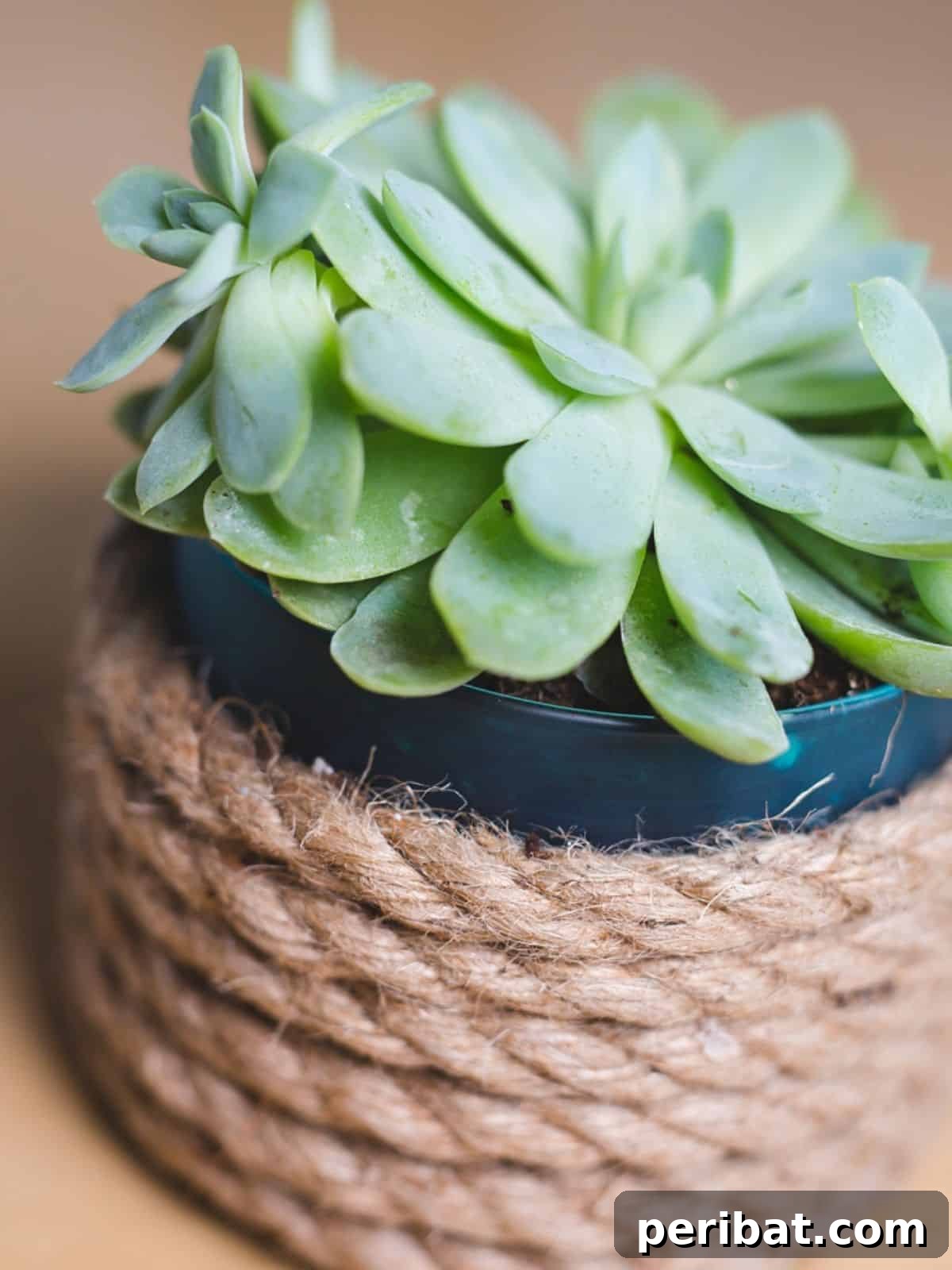 36 Genius Ideas for Repurposing Candle and Mini Jars 14 Reuse Candle Jars! {Succulent Planter}