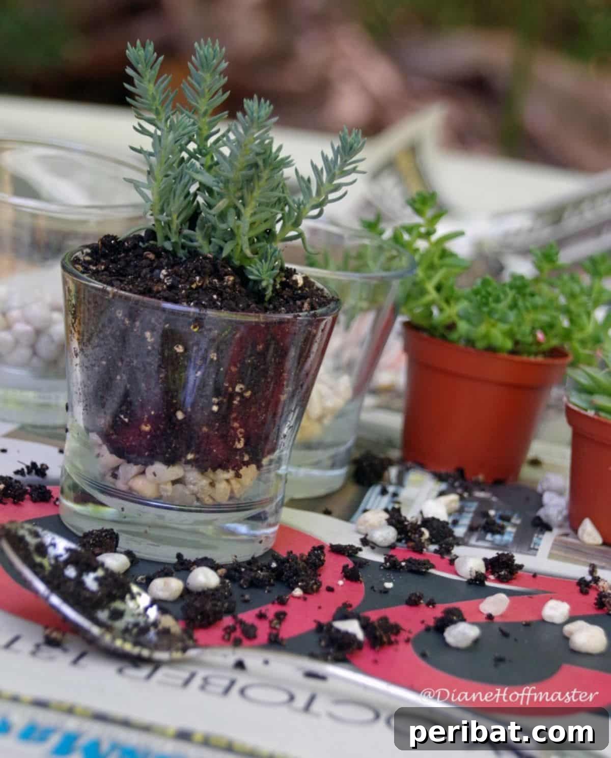36 Genius Ideas for Repurposing Candle and Mini Jars 6 Upcycling Jars for a DIY Succulent Garden