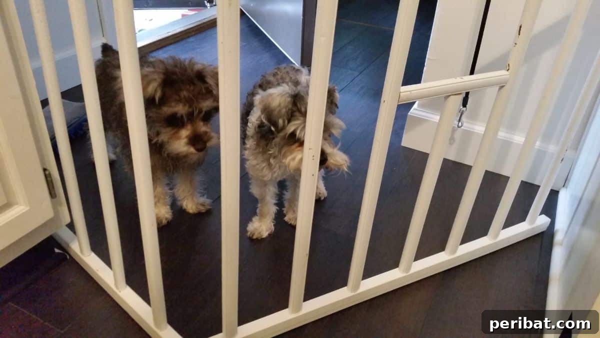 Cribs Reimagined 37 Clever Upcycling Ideas 33 DIY dog gate constructed from old crib rails