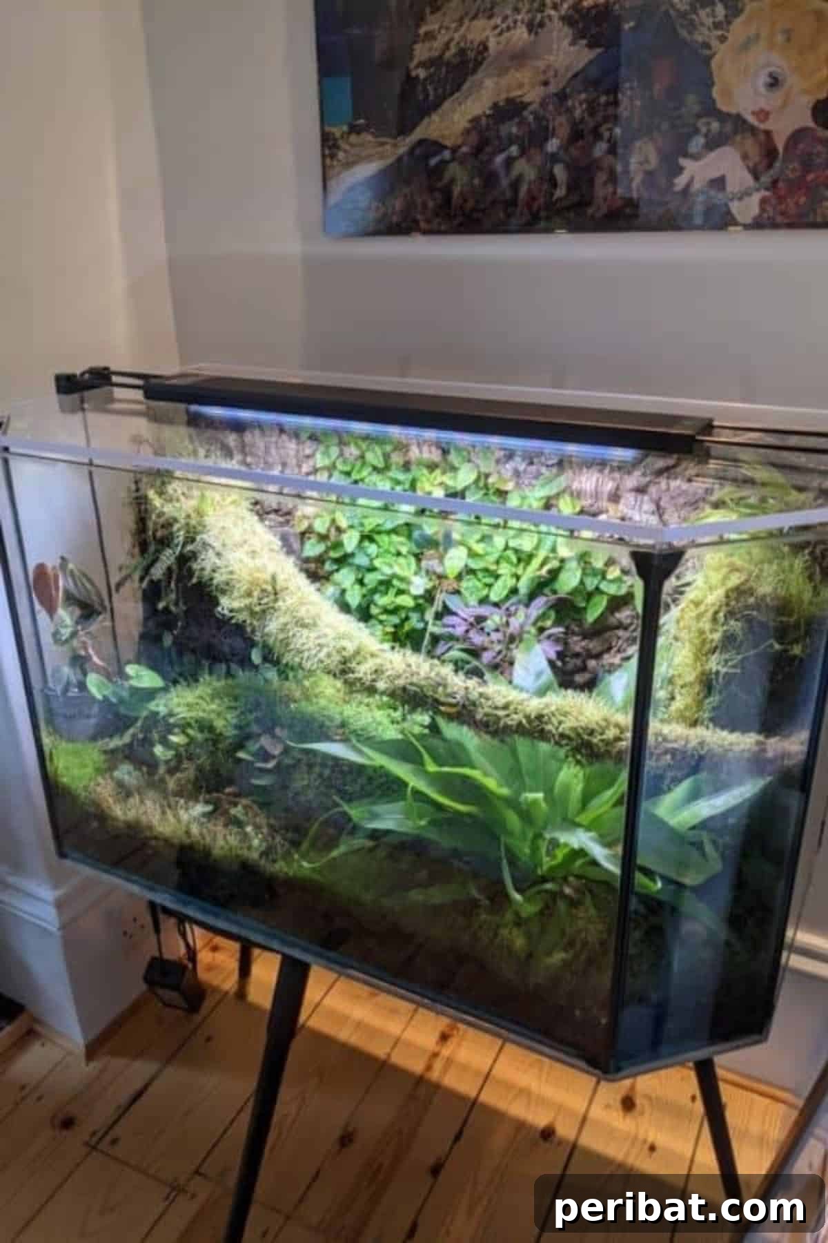 Make a Terrarium in a Fish Tank [Aquarium Sea-Crets]