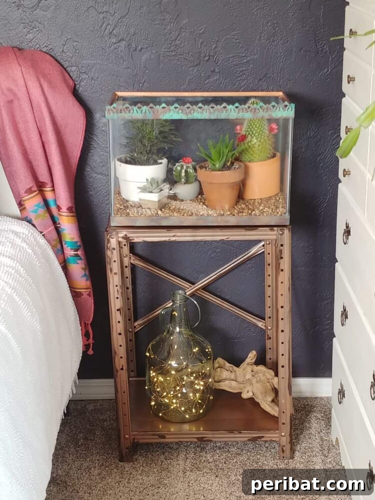 DIY Indoor Cactus Garden