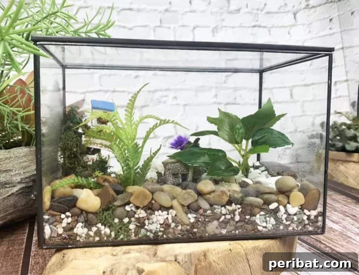 Make a Terrarium Out of a Fish Tank