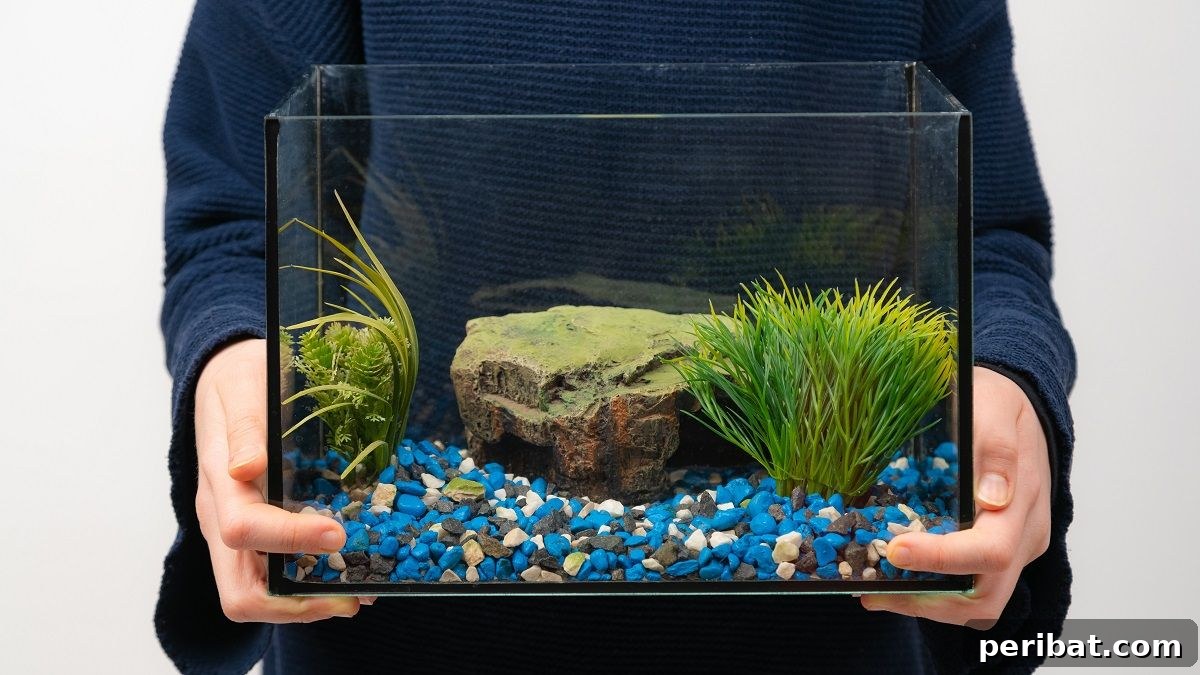 3 Fun Ways to Repurpose Your Fish Tank
