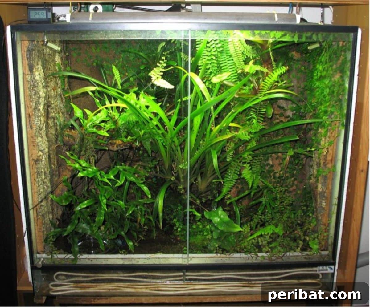 Turn a Fish Tank Into a Garden: Step by Step Guide