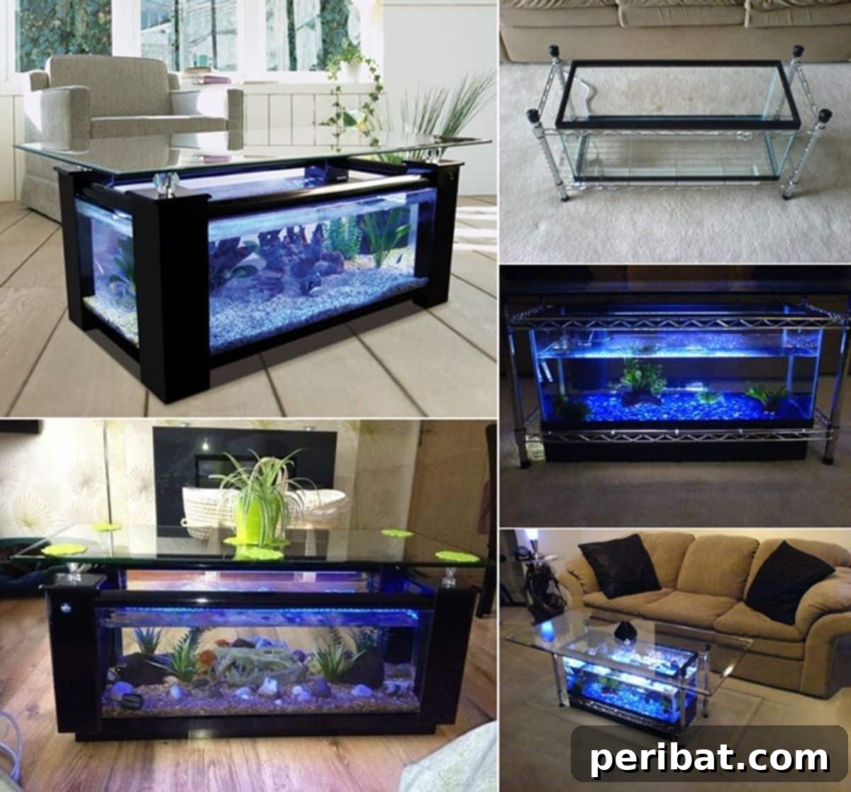 Fish Tank Coffee Table