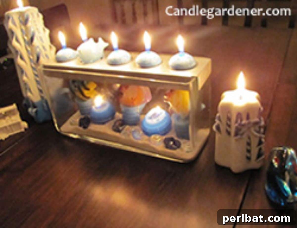 New Uses for Your Old Aquarium