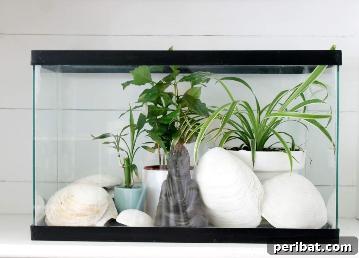 Fun & Simple Fish Tank Terrarium