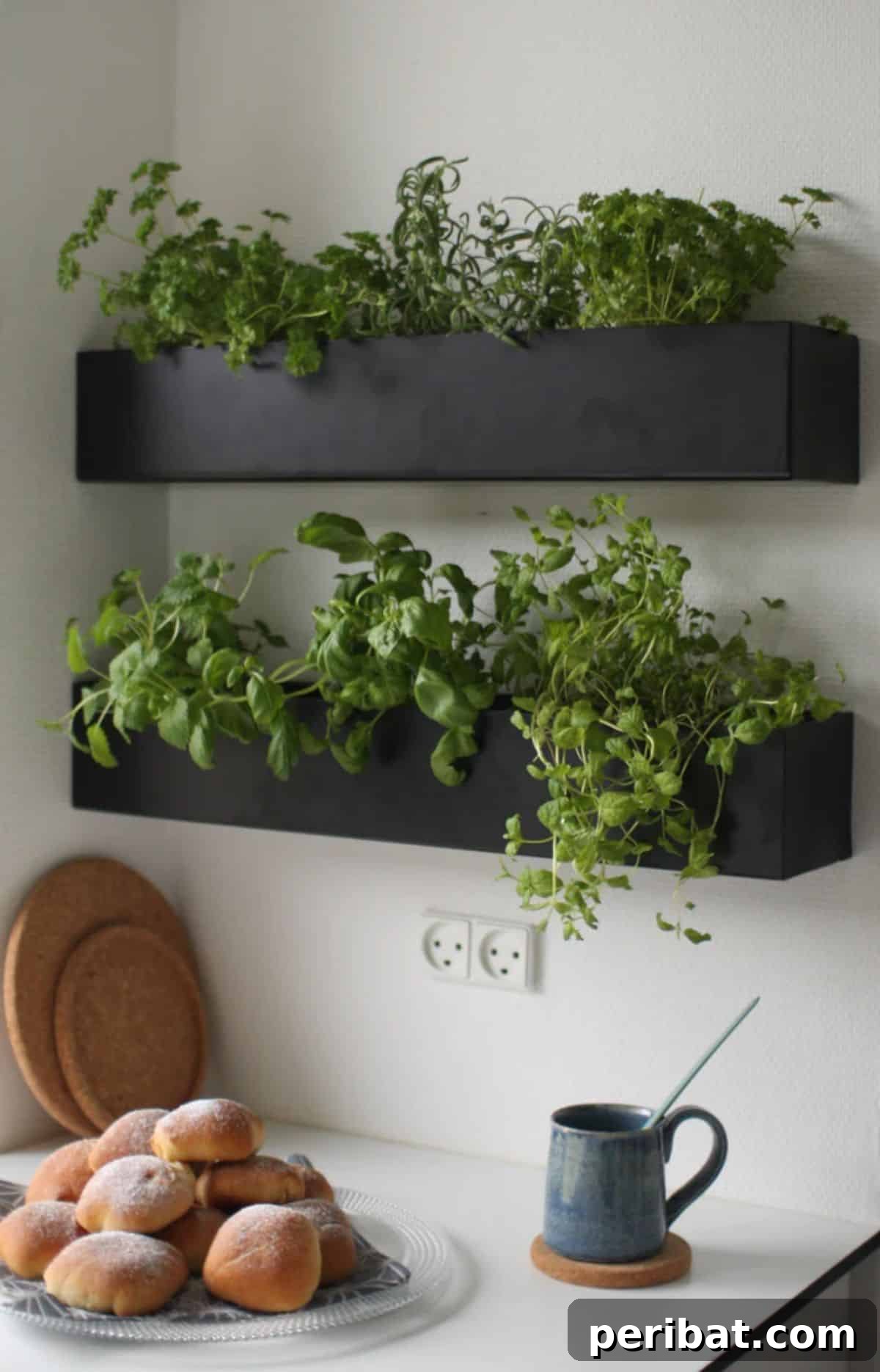 Wall Box Indoor Herb Garden