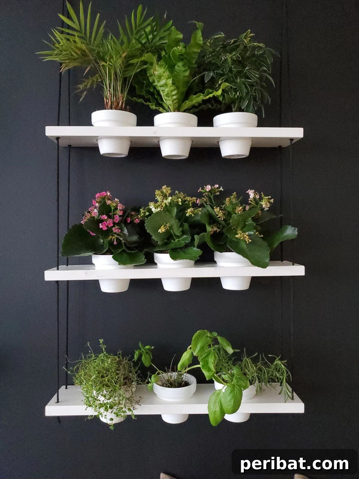 Hanging Window Plant Shelf