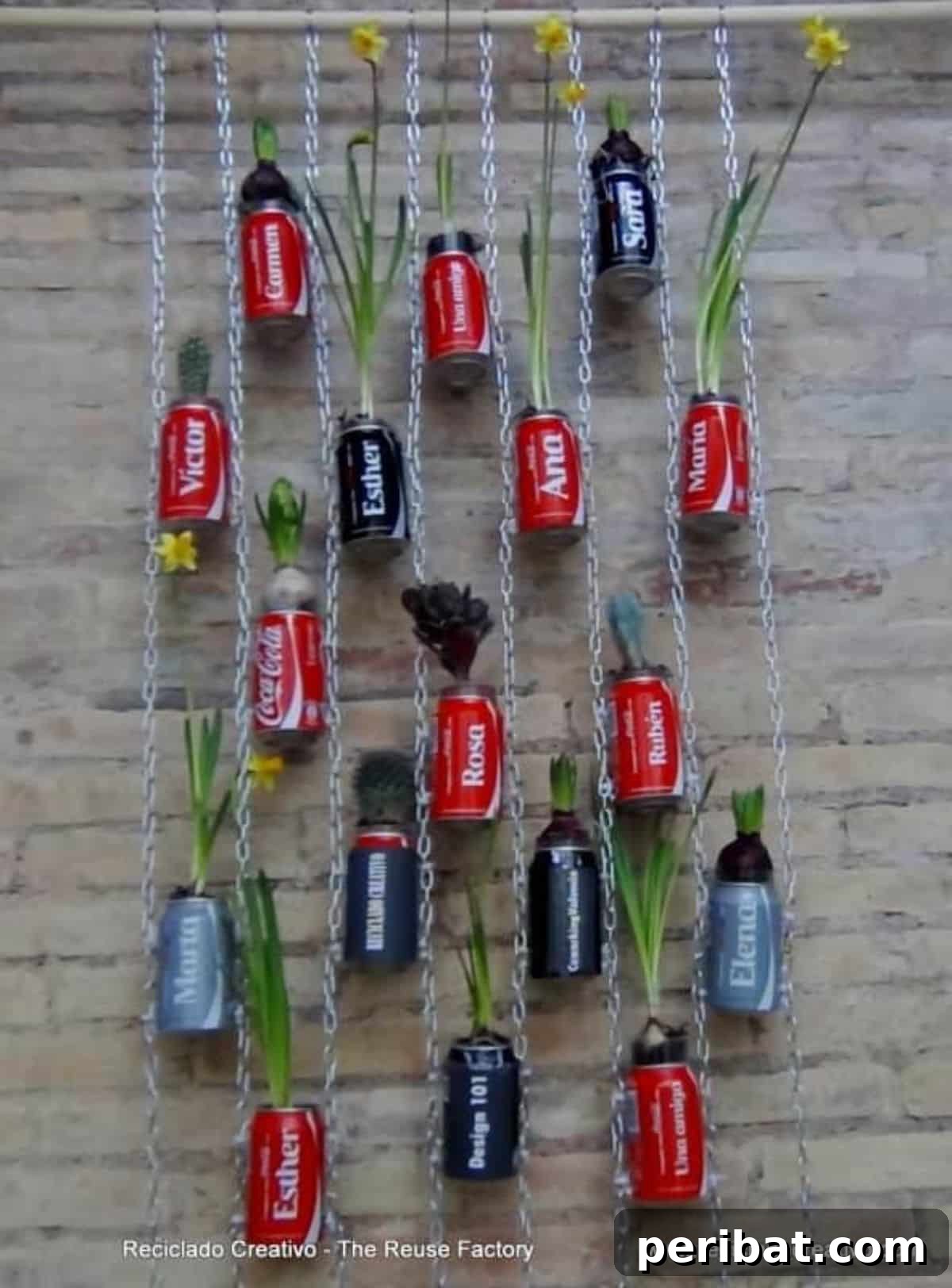 Vertical Hanging Garden Using Coca Cola Cans