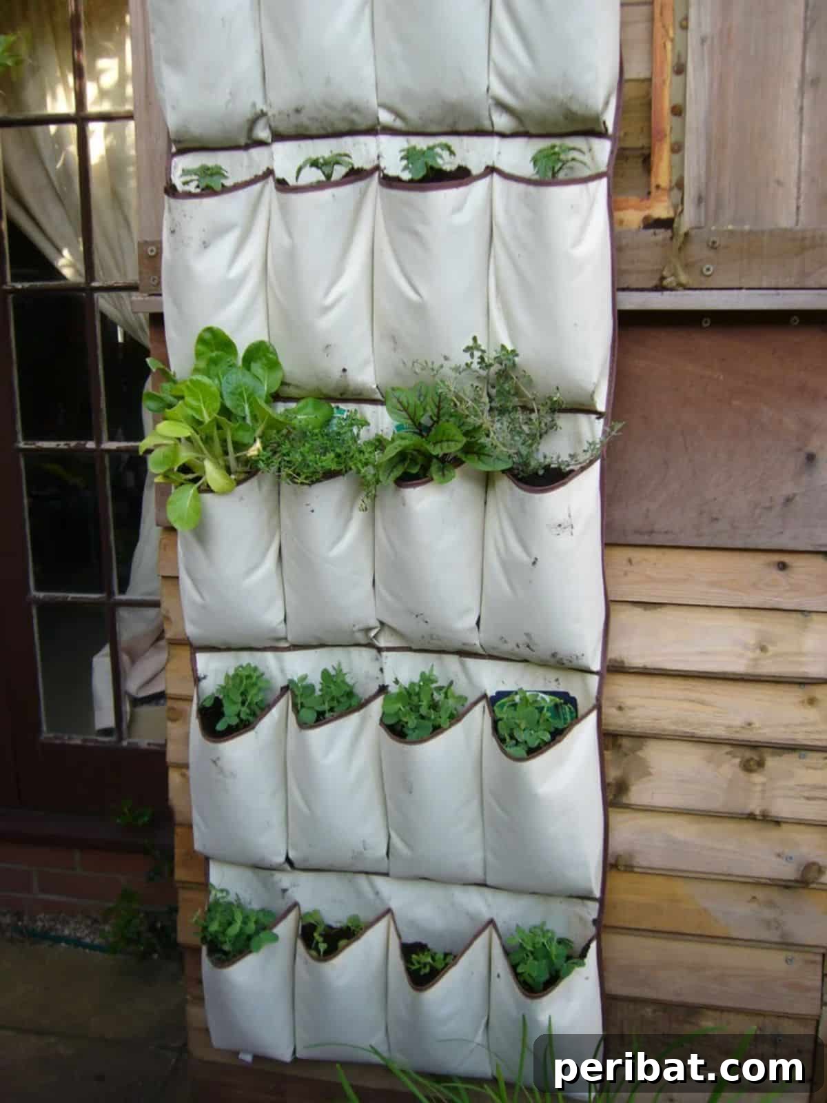 Pocket Shoe Garden