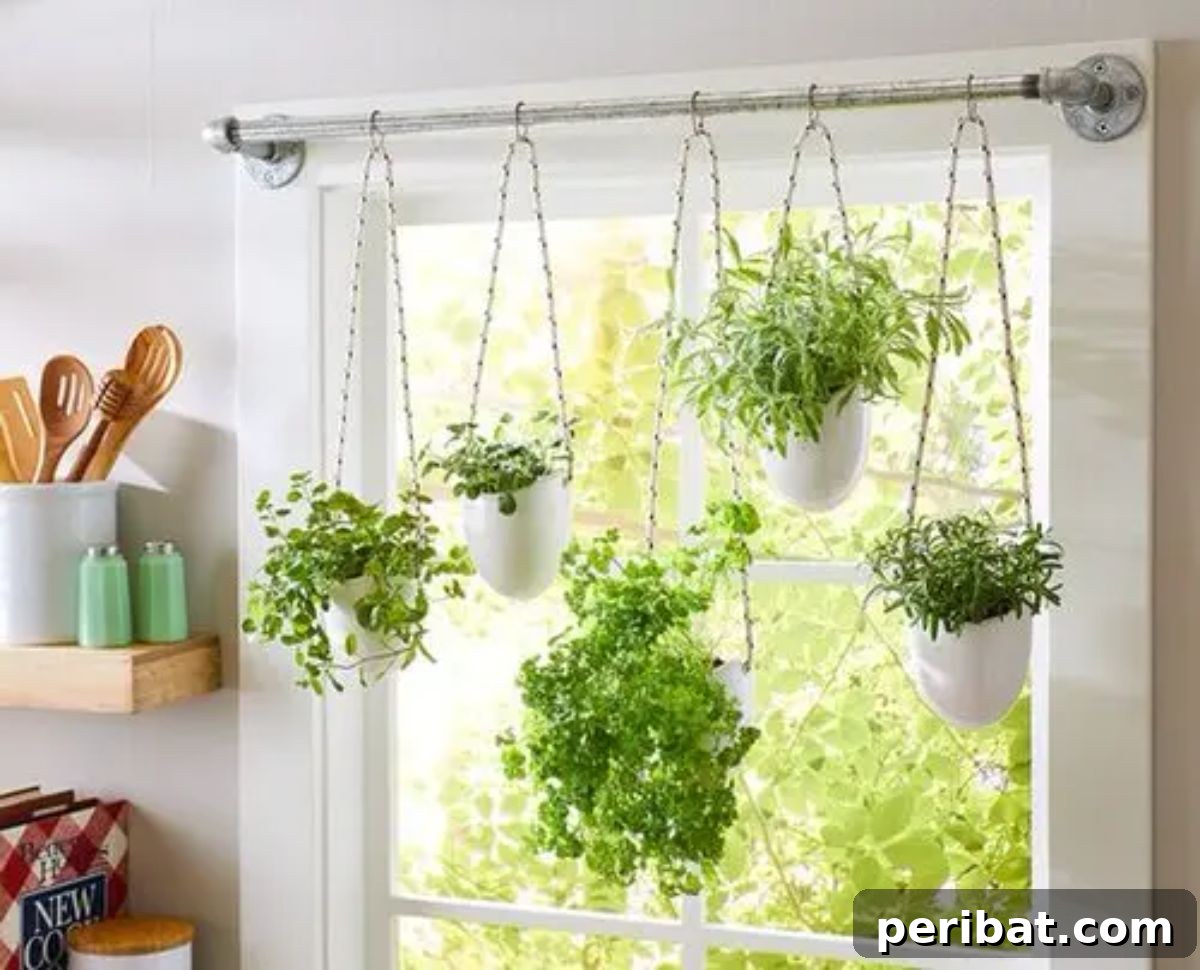 Window-Mounted Curtain Rod Hanging Garden