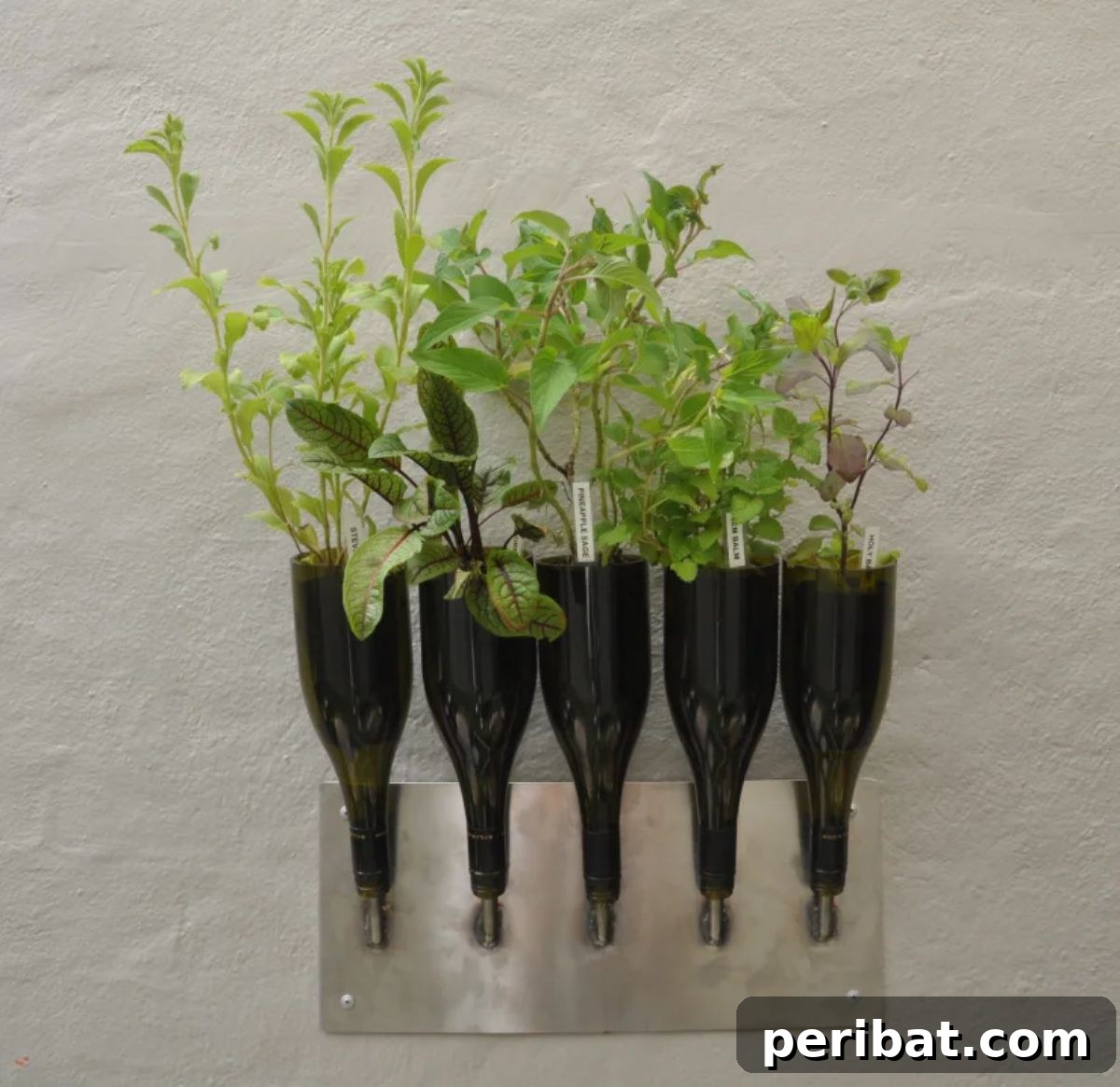 Wine Bottle Vertical Garden