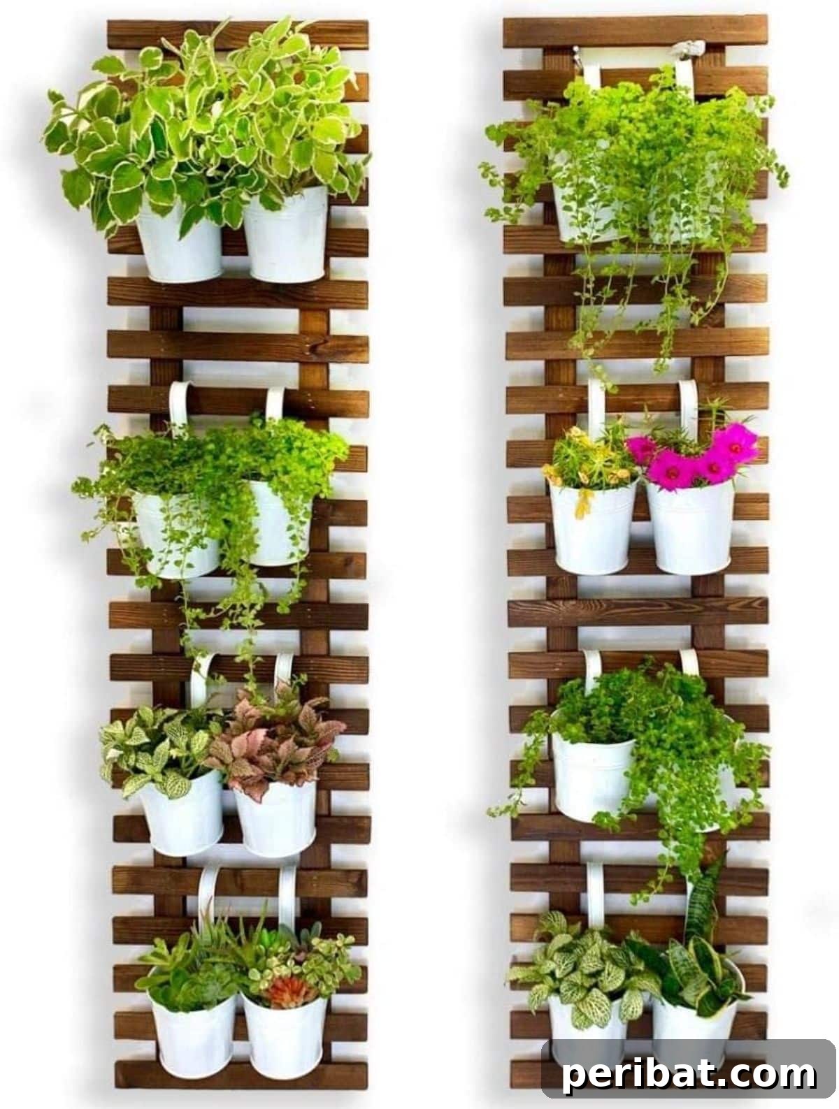 Shop LaLa Wall Planter Hanging Herbs