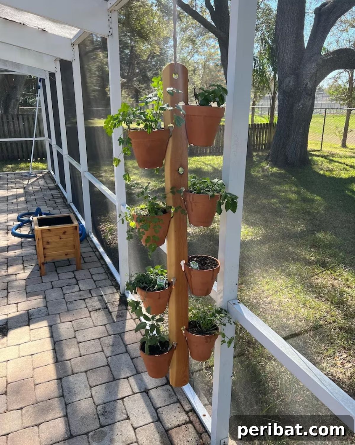 Cedar Wooden Terra Cotta Planter Garden for Indoor/Outdoor