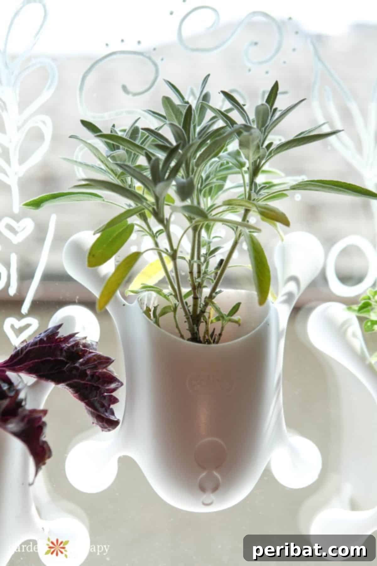 Sticky Window Planters