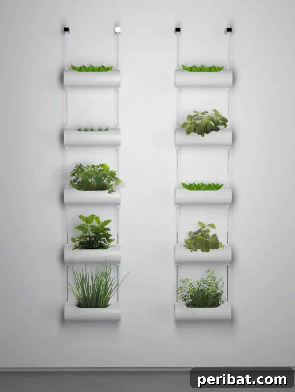 Vertical Vases for Mini Indoor Garden