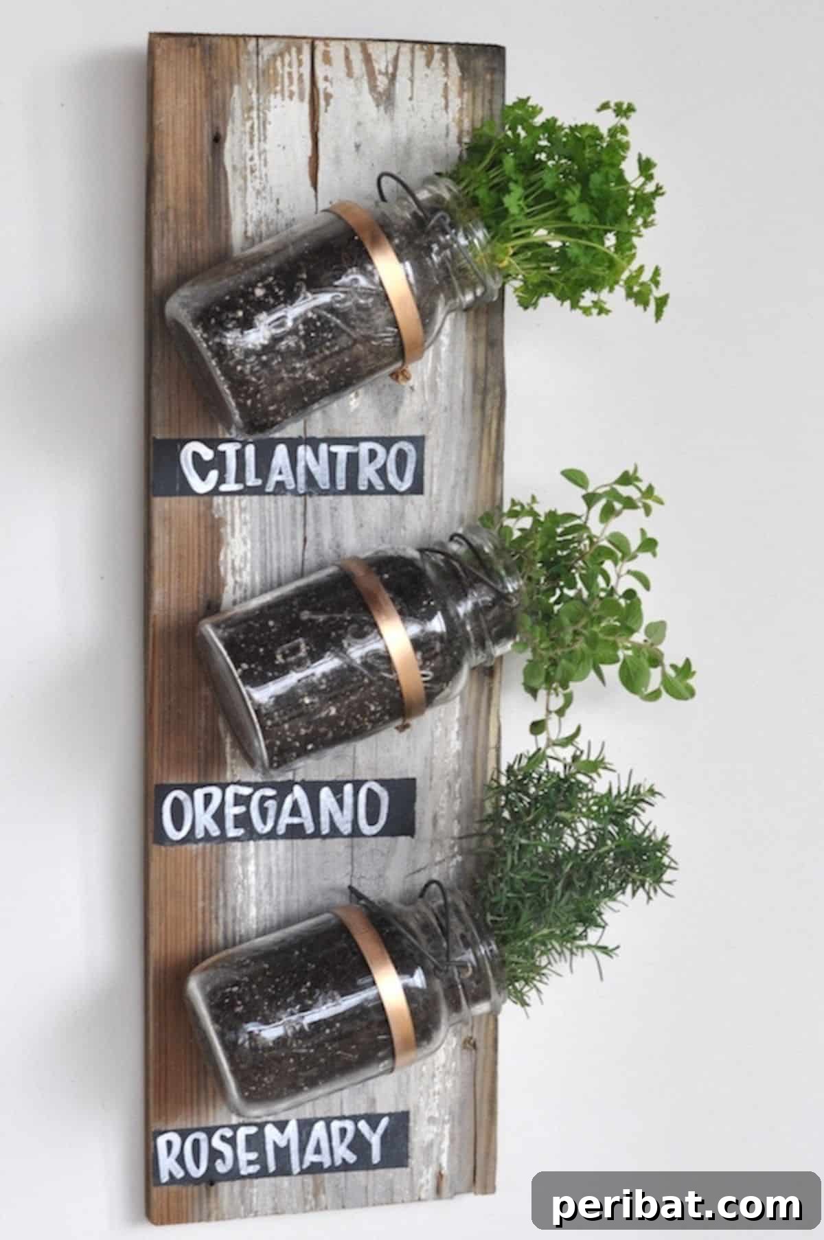 Mason Jar Vertical Herb Garden