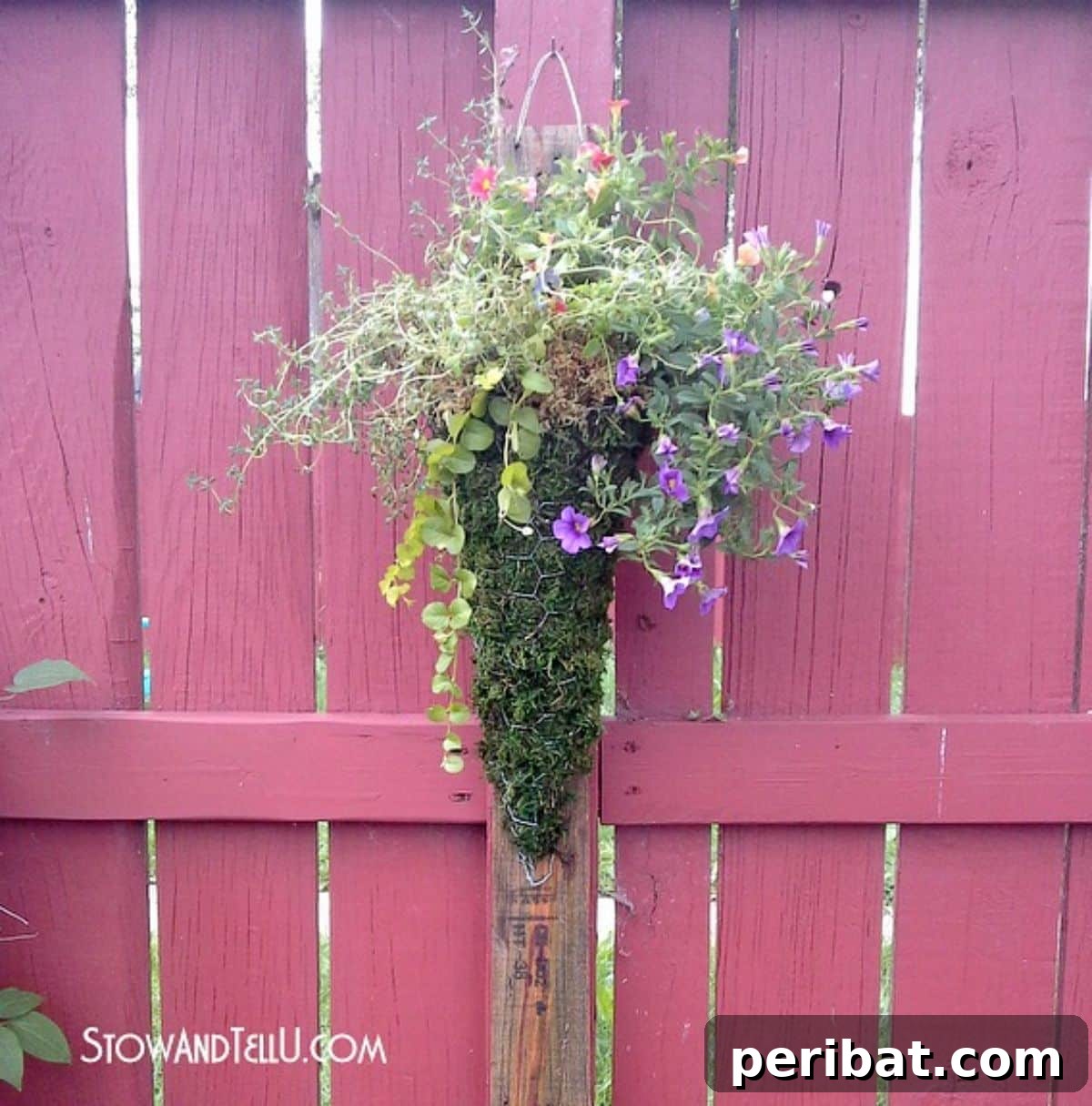 Vertical Chicken Wire Wall Garden