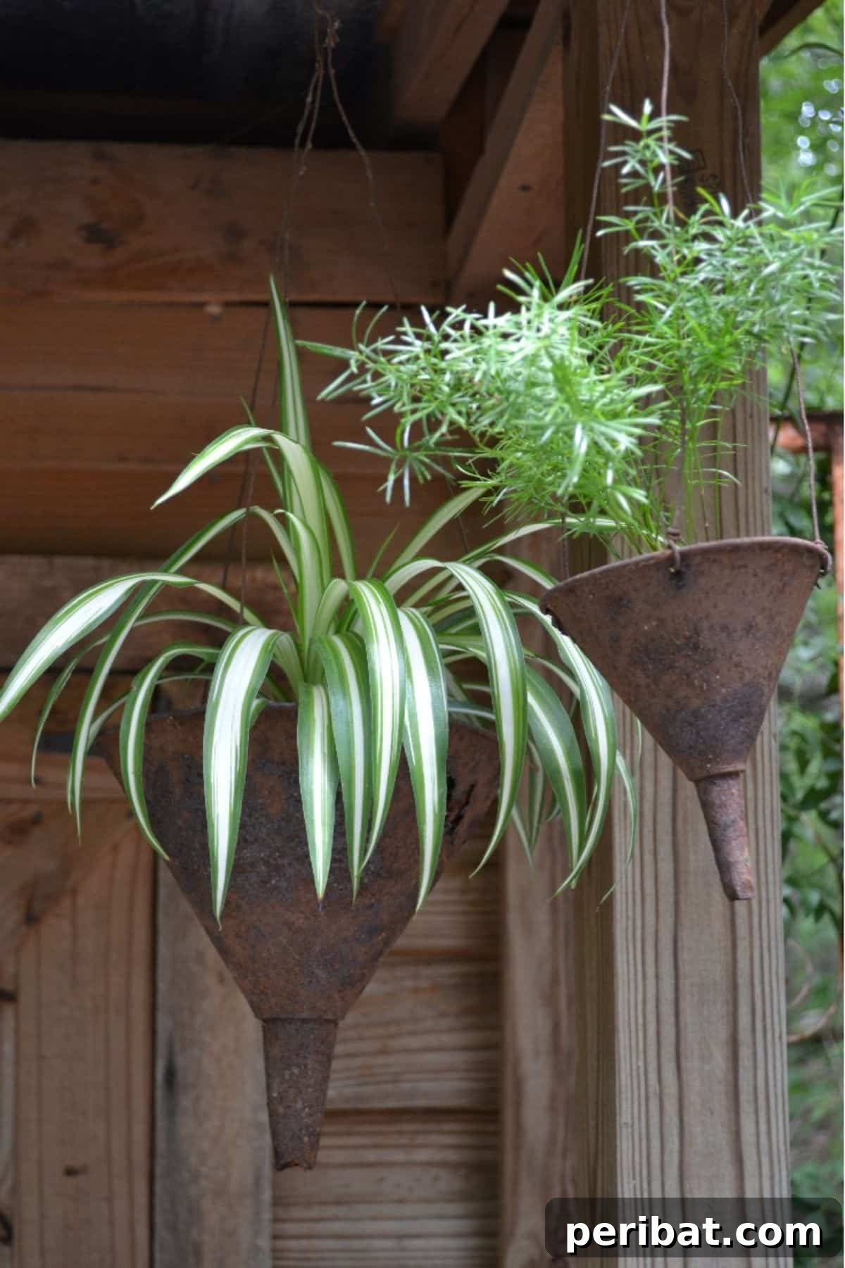 Old Funnels as Country Garden Containers