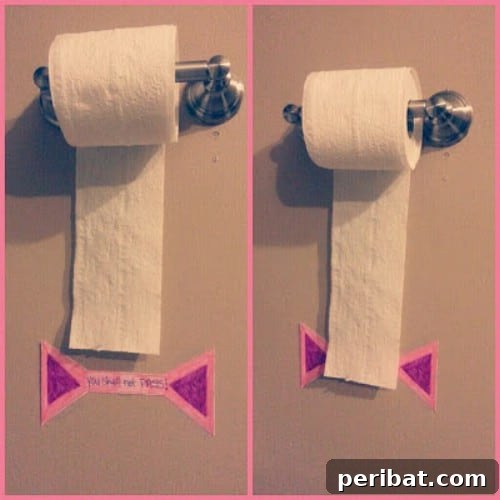 Smart Parenting Shortcuts for a Stress-Free Home 13 Toilet Paper Sign
