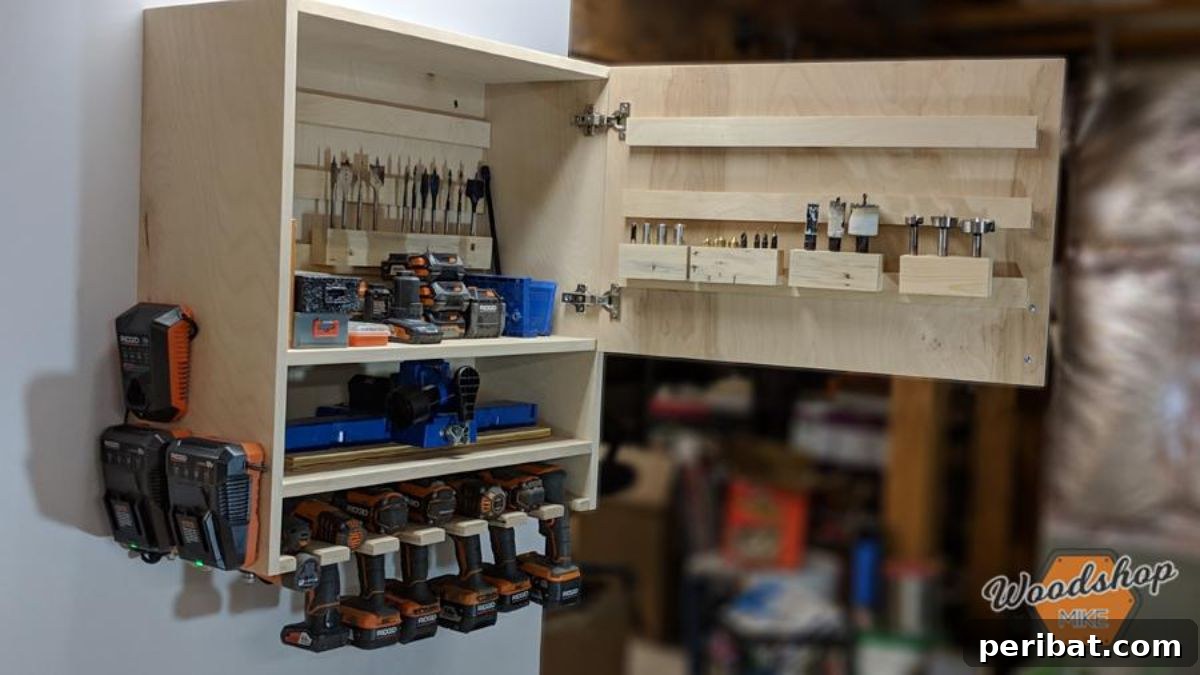 Smart Power Tool Storage Solutions 30 DIY Drill Storage Cabinet