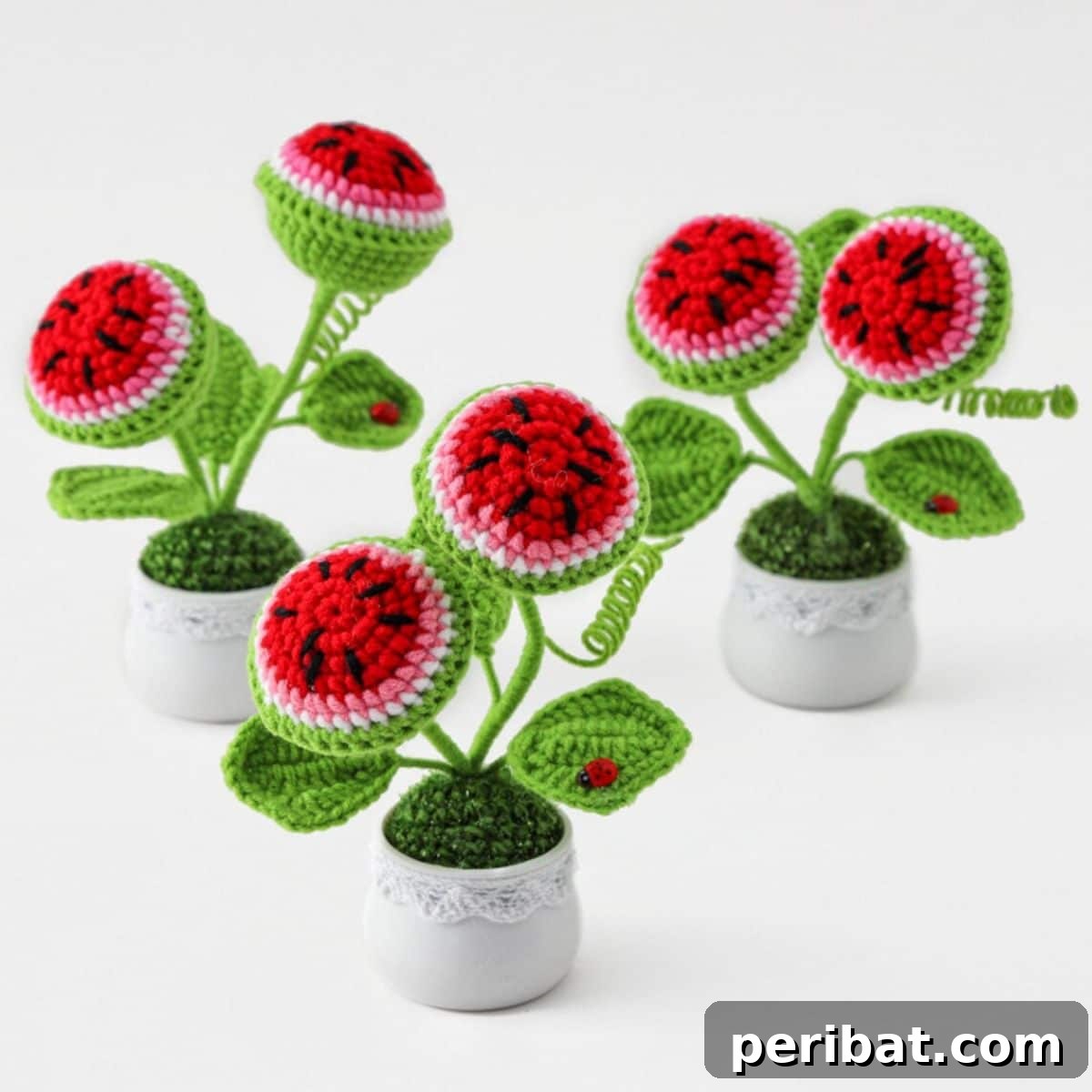 50 Summer DIY Projects to Brighten Your Home 36 Crochet Two-headed Watermelon Mini Pot