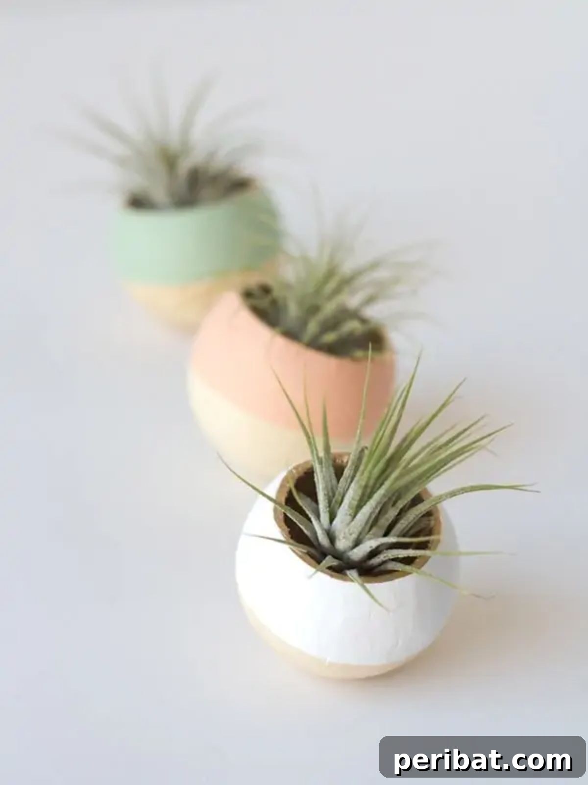 Craft Your Spring: 50 Fresh Home Decor Ideas 4 DIY Painted Air Plant Bell Cups