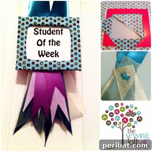 Parça Kumaşlardan Muhteşem Projeler: 100'den Fazla Yaratıcı Değerlendirme Fikri 80 DIY Fabric Scrap Award Ribbon Necklace