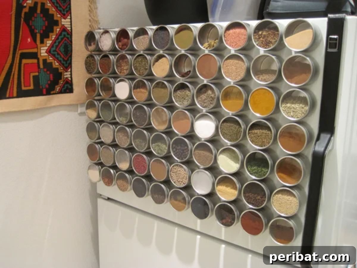 Spice Rack Mastery: 49 Projects and Products 22 Magnetic Wall Spice Rack Organizer