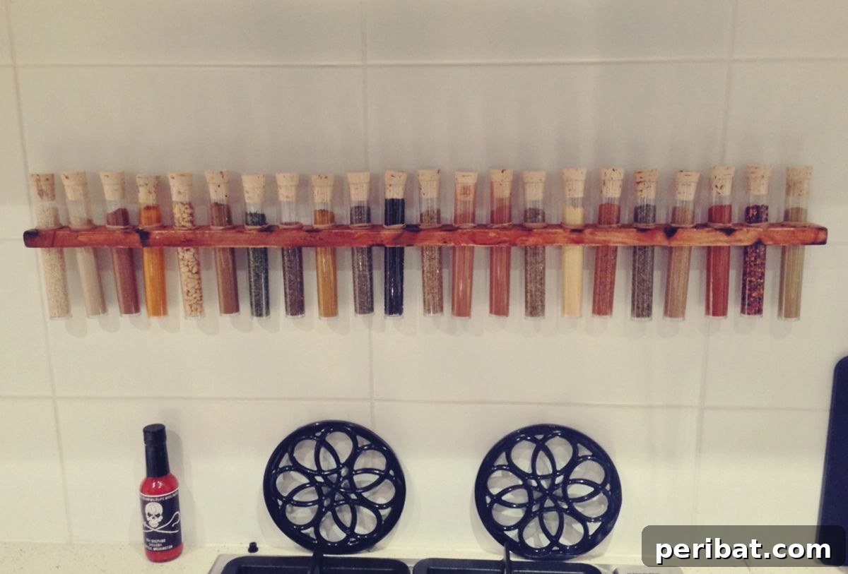 Spice Rack Mastery: 49 Projects and Products 9 DIY Test Tube Spice Rack