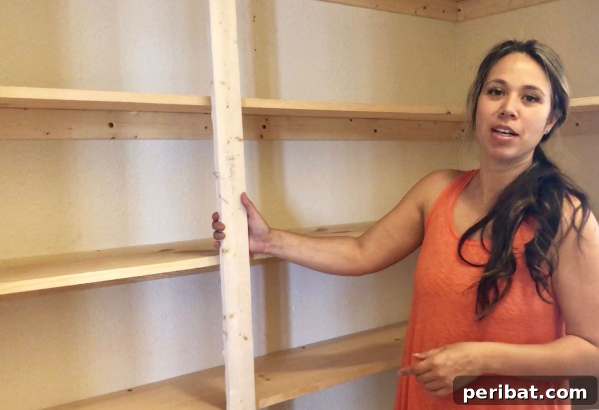Transform Your Pantry: 45 Shelving Ideas and Creative Builds 41 Easy Pantry Shelving