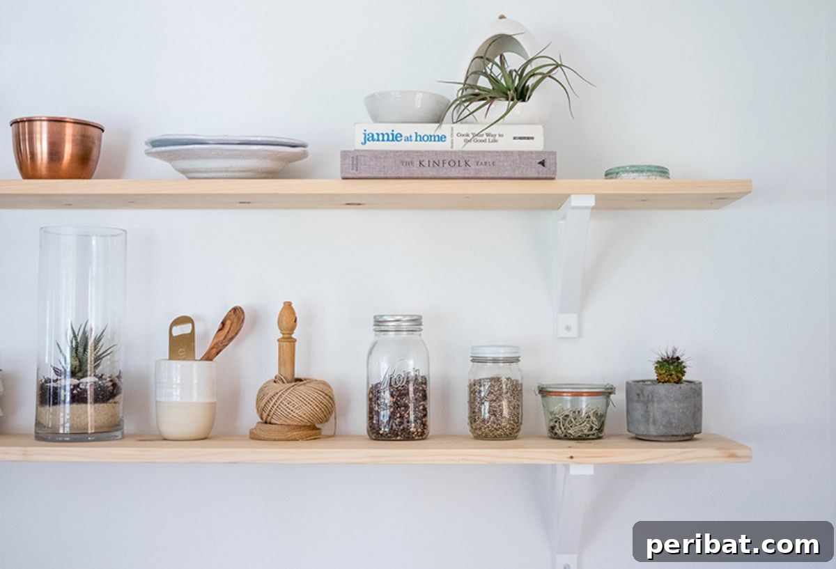 Master Your Kitchen Cabinets 47 Ways 31 DIY Ikea Kitchen Cabinet