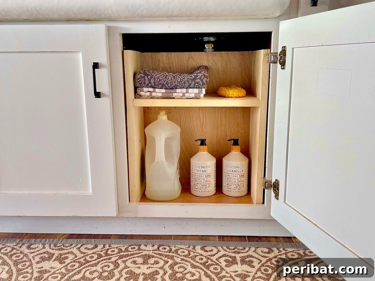 Easy Under Sink Storage H-Shelf, a simple yet efficient DIY design for locating items effortlessly and freeing up valuable kitchen space.