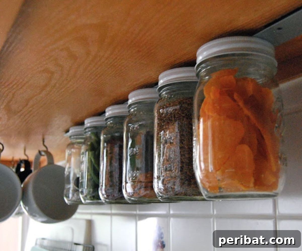 25 Clever DIY Cupboard Organization Hacks 4 DIY Magnetic Jar Rack Under the Cabinets