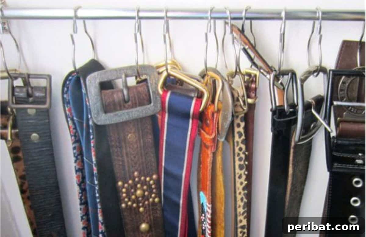 DIY Belt Hanger for neat wardrobe organization
