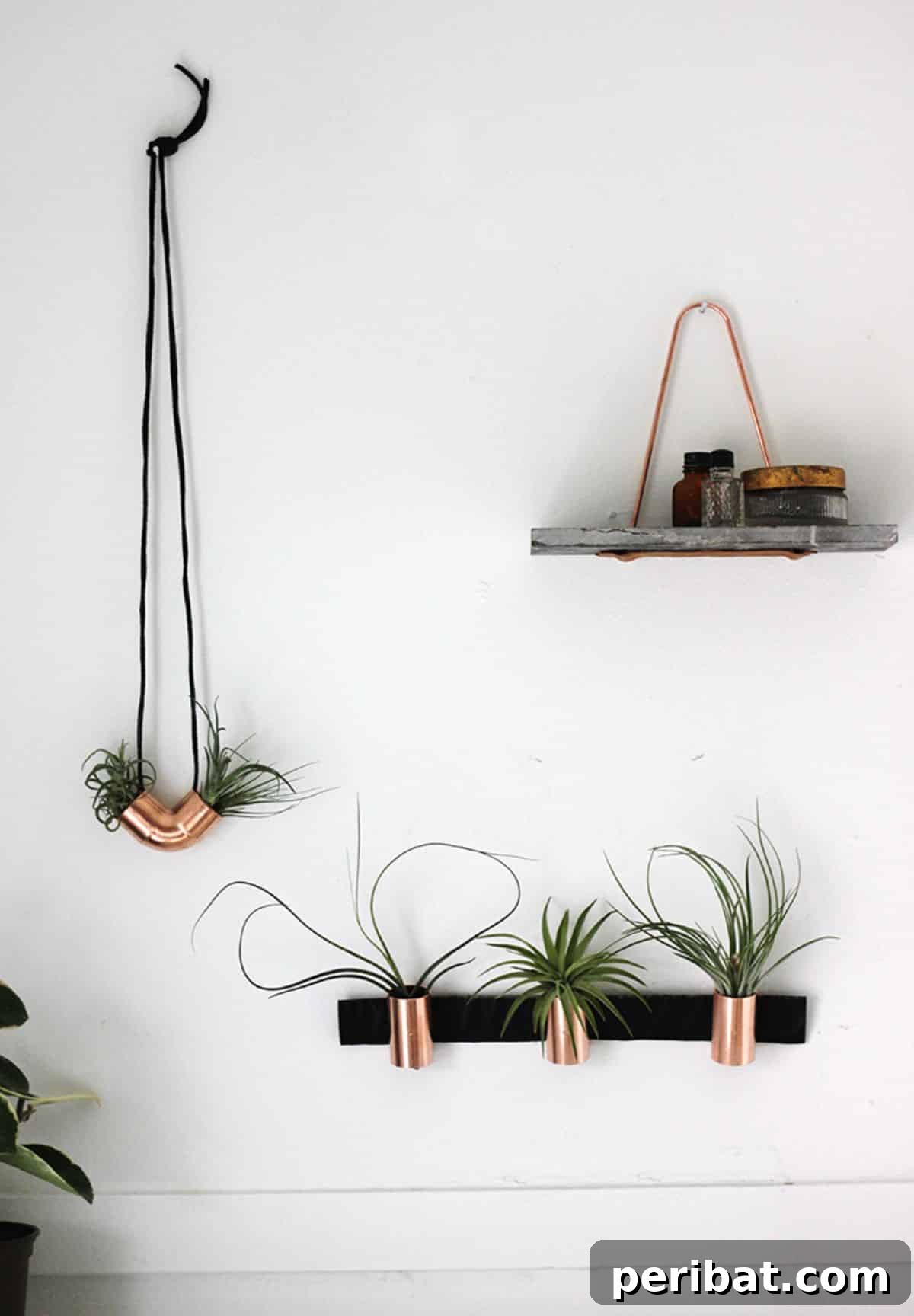 47 Stylish DIY Projects to Modernize Your Home 15 DIY Copper Air Plant Holders. Sleek displays for minimalist greenery.