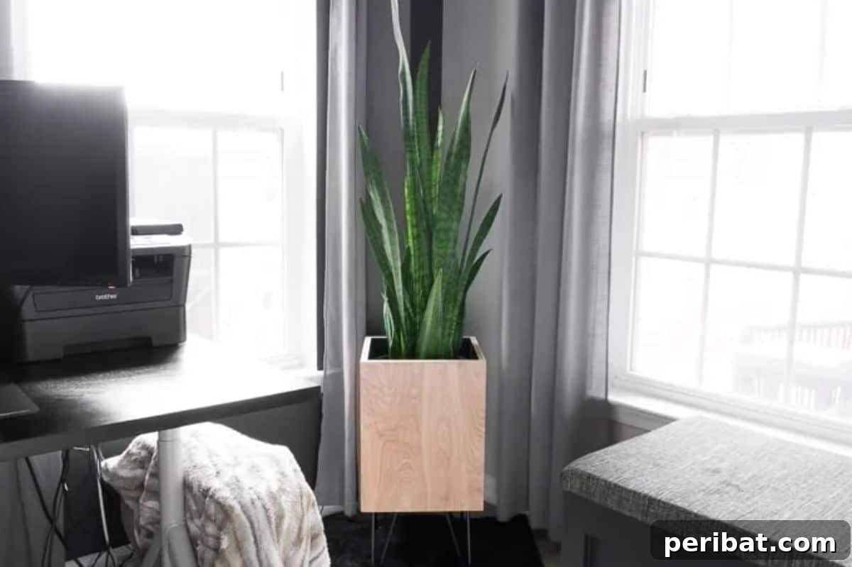 47 Stylish DIY Projects to Modernize Your Home 5 DIY Modern Plywood With Hairpin Legs Planter. A sleek and contemporary plant holder.