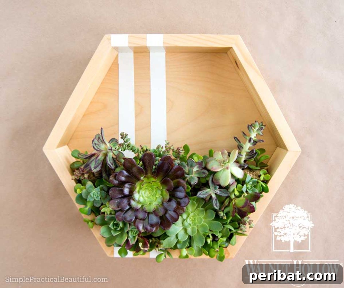 47 Stylish DIY Projects to Modernize Your Home 7 DIY Modern Vertical Succulent Planter. A green twist on wall decor.