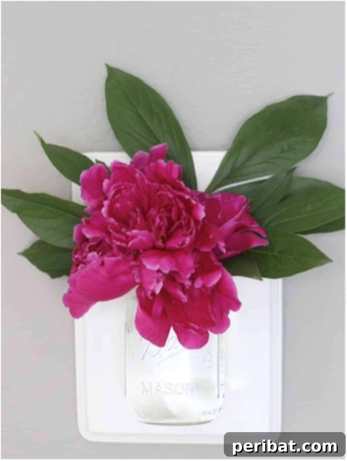 Wall Canisters