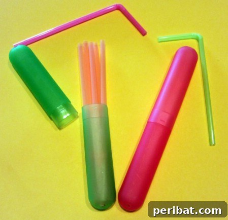 On the Go Straw Carrier