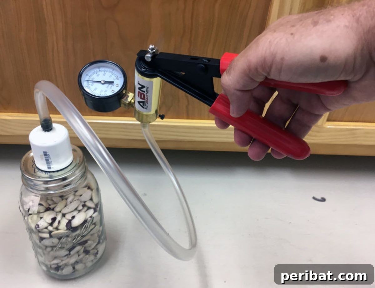 Vacuum-Sealed Bags as seed storage