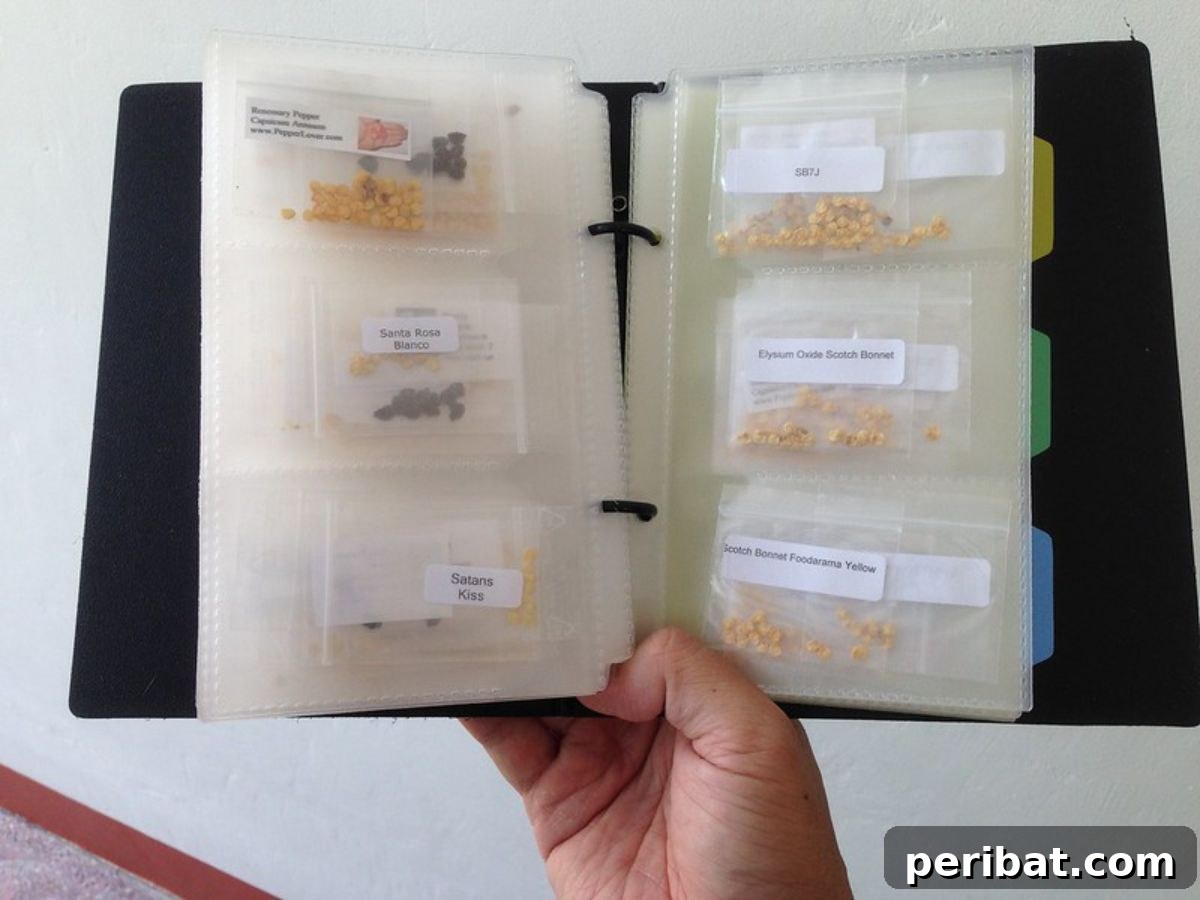 Baseball Card Sleeves as seed storage