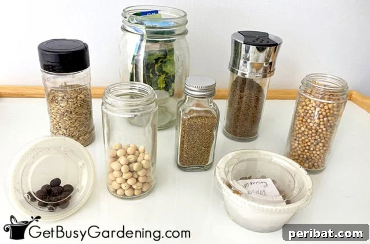 Your Kitchen Drawer seed storage.